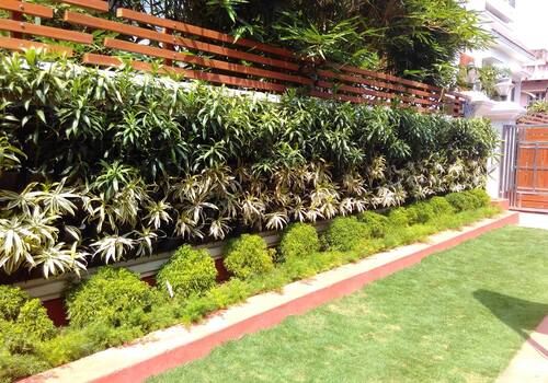 Landscaping services in Noida , Gurgaon , Faridabad